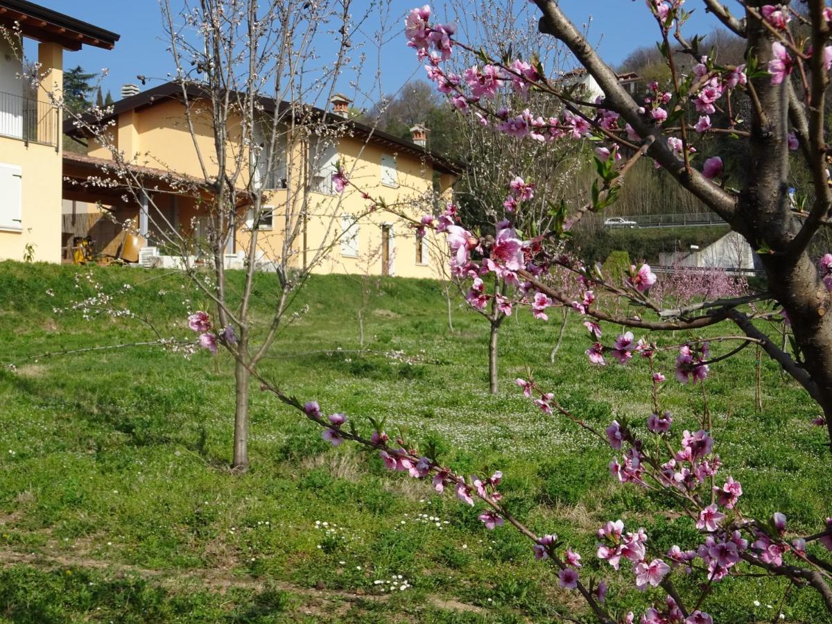 Villanuova sul clisiCascina Legnago Trilocale A 6 Chilometri Da Salo'公寓 外观 照片