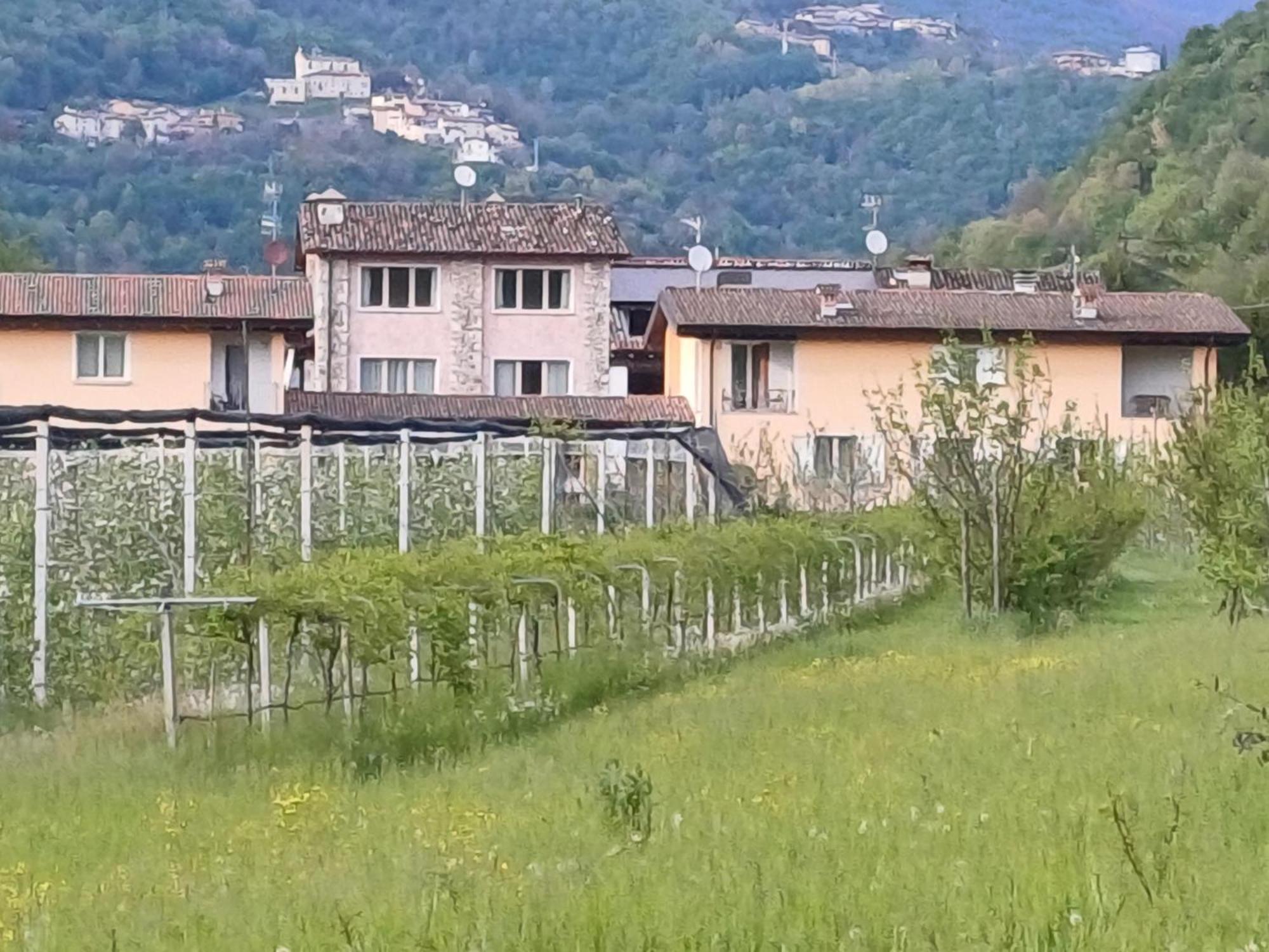 Villanuova sul clisiCascina Legnago Trilocale A 6 Chilometri Da Salo'公寓 外观 照片