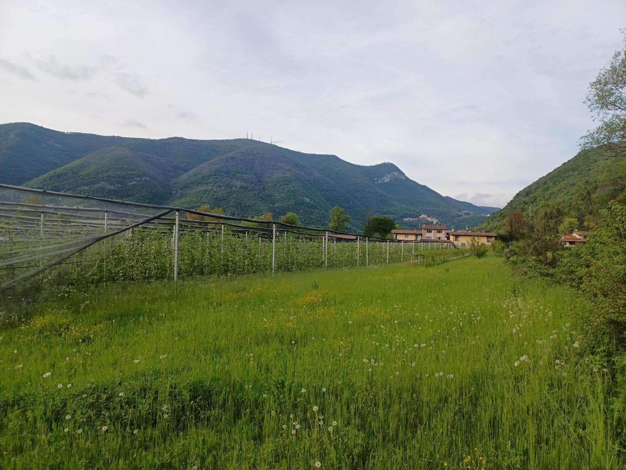 Villanuova sul clisiCascina Legnago Trilocale A 6 Chilometri Da Salo'公寓 外观 照片